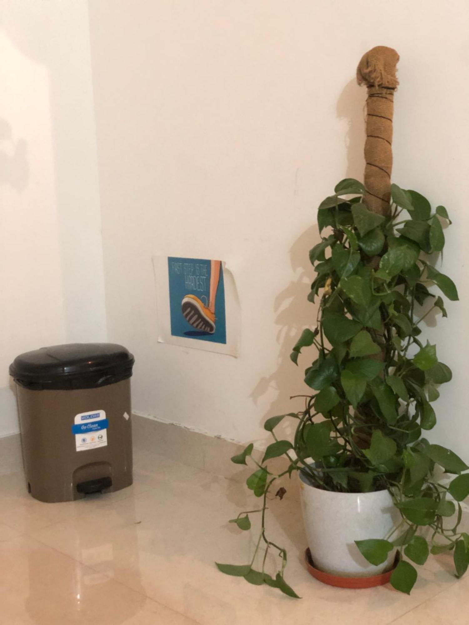 Sapthagiri Nest Apartment Chikmagalur Luaran gambar